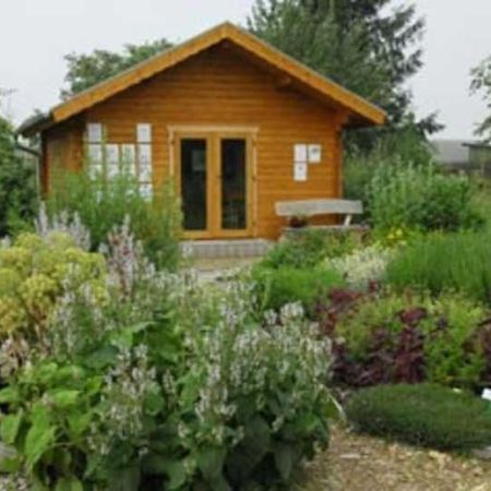 Ferienwohnung Kräuter-Landhaus Bad Schmiedeberg Exterior foto